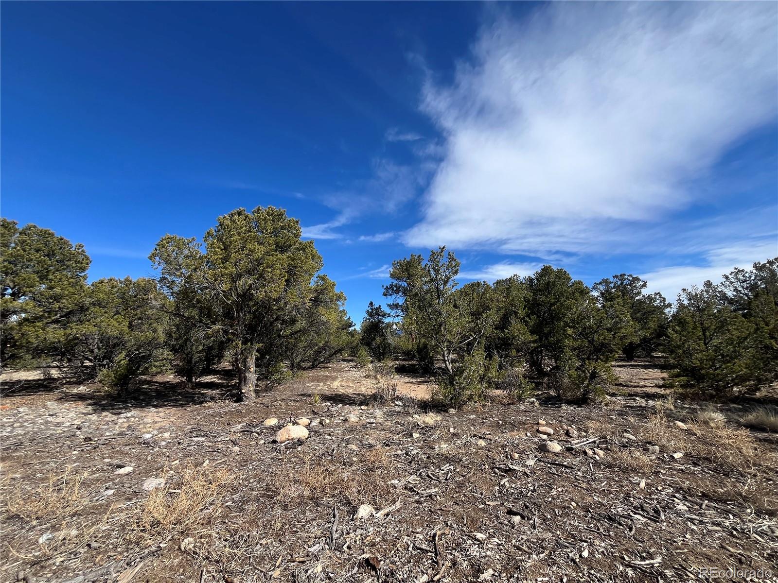 29274 Lakota Lane Buena Vista CO 81211