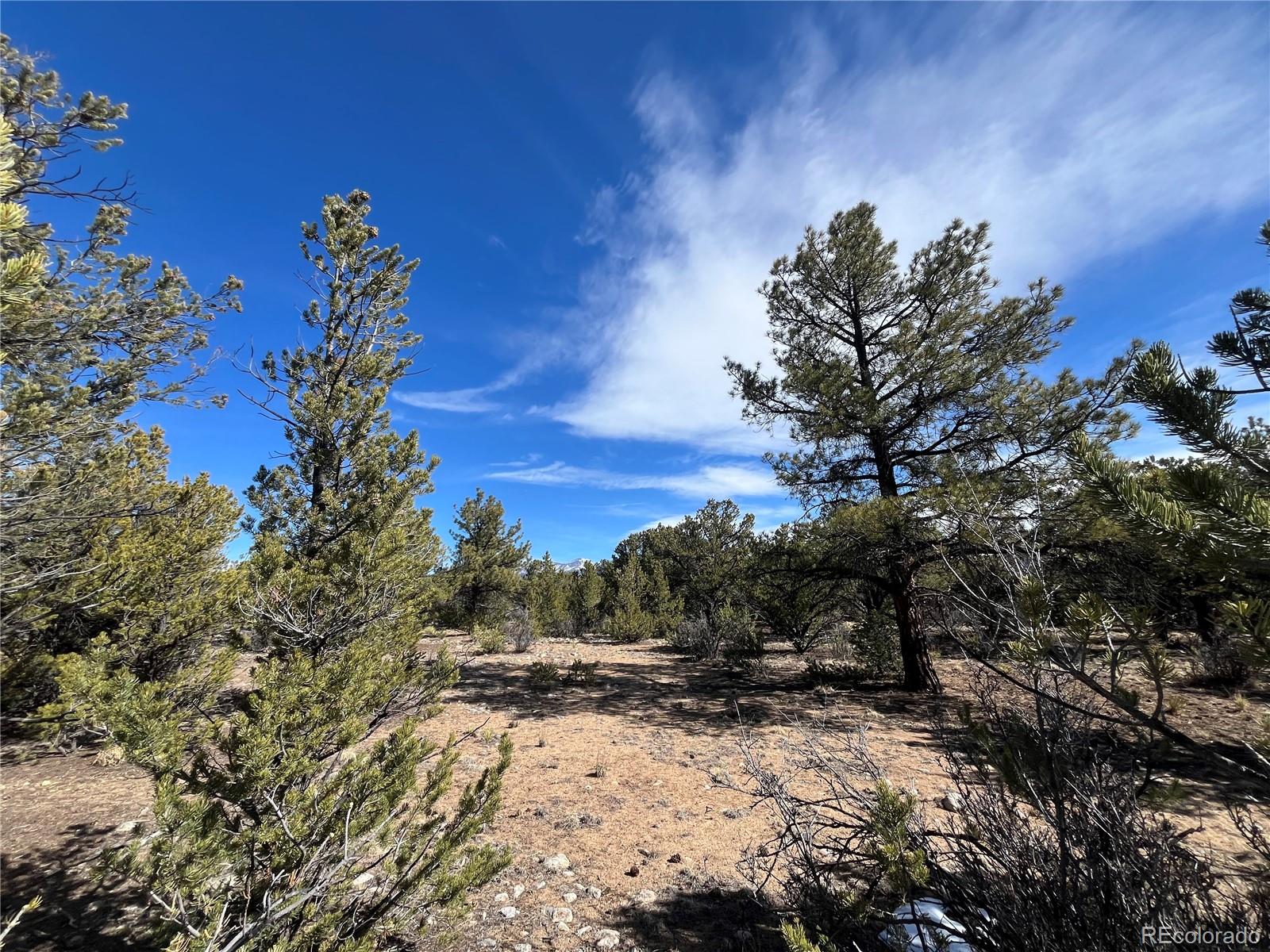29274 Lakota Lane Buena Vista CO 81211