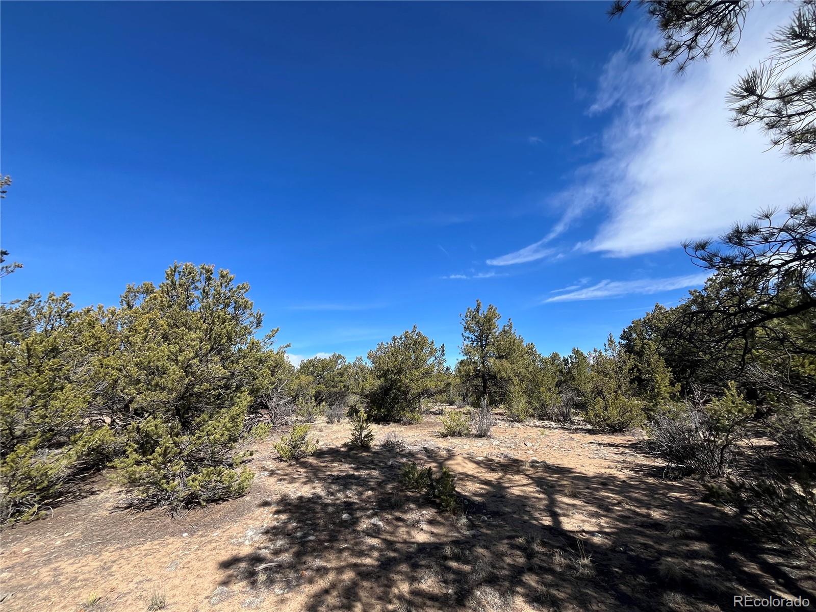 29274 Lakota Lane Buena Vista CO 81211