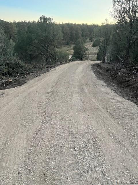 3152 Indian Wells Road Cotopaxi CO 81223
