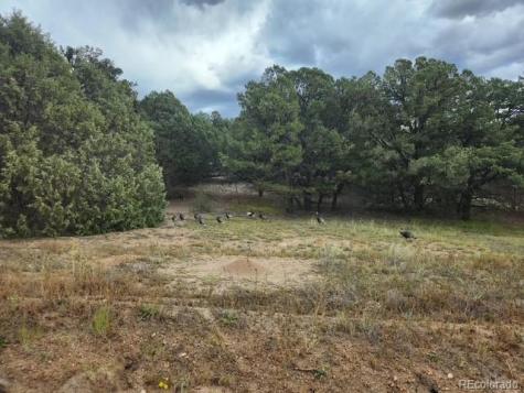 3152 Indian Wells Road Cotopaxi CO 81223