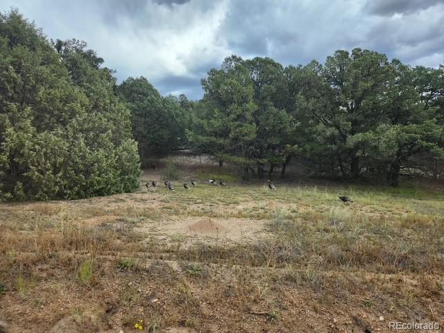 3152 Indian Wells Road Cotopaxi CO 81223