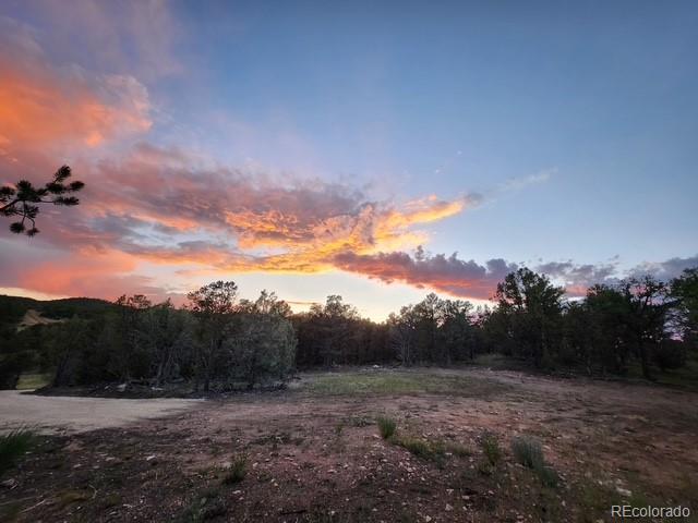 3152 Indian Wells Road Cotopaxi CO 81223