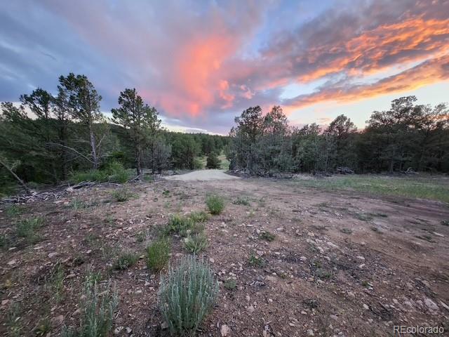 3152 Indian Wells Road Cotopaxi CO 81223