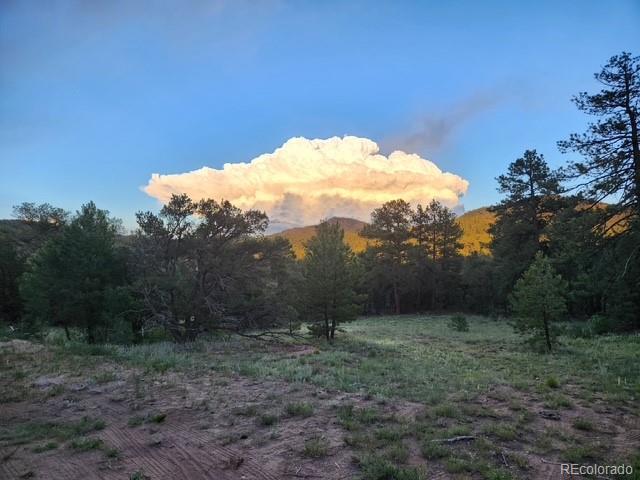 3152 Indian Wells Road Cotopaxi CO 81223