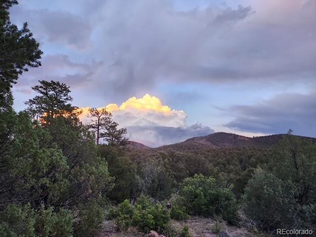 3152 Indian Wells Road Cotopaxi CO 81223