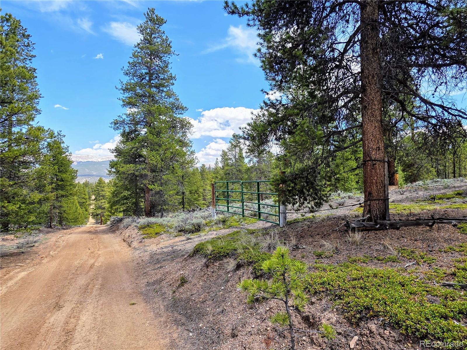 160 Ponderosa Drive Twin Lakes CO 81251