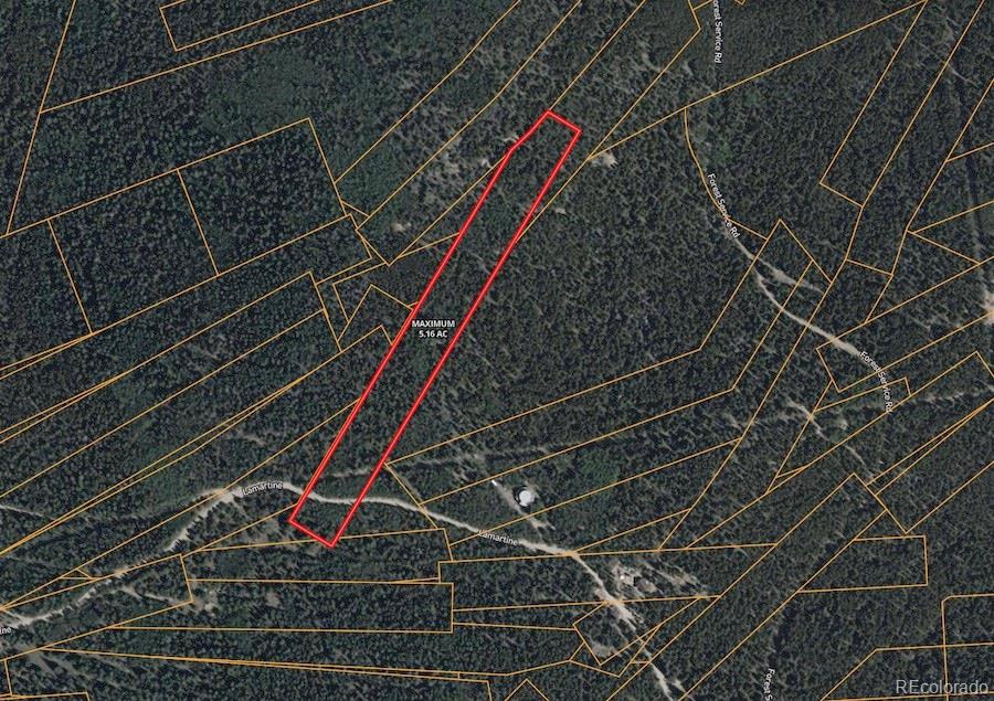 000 Lamartine Road Idaho Springs CO 80452