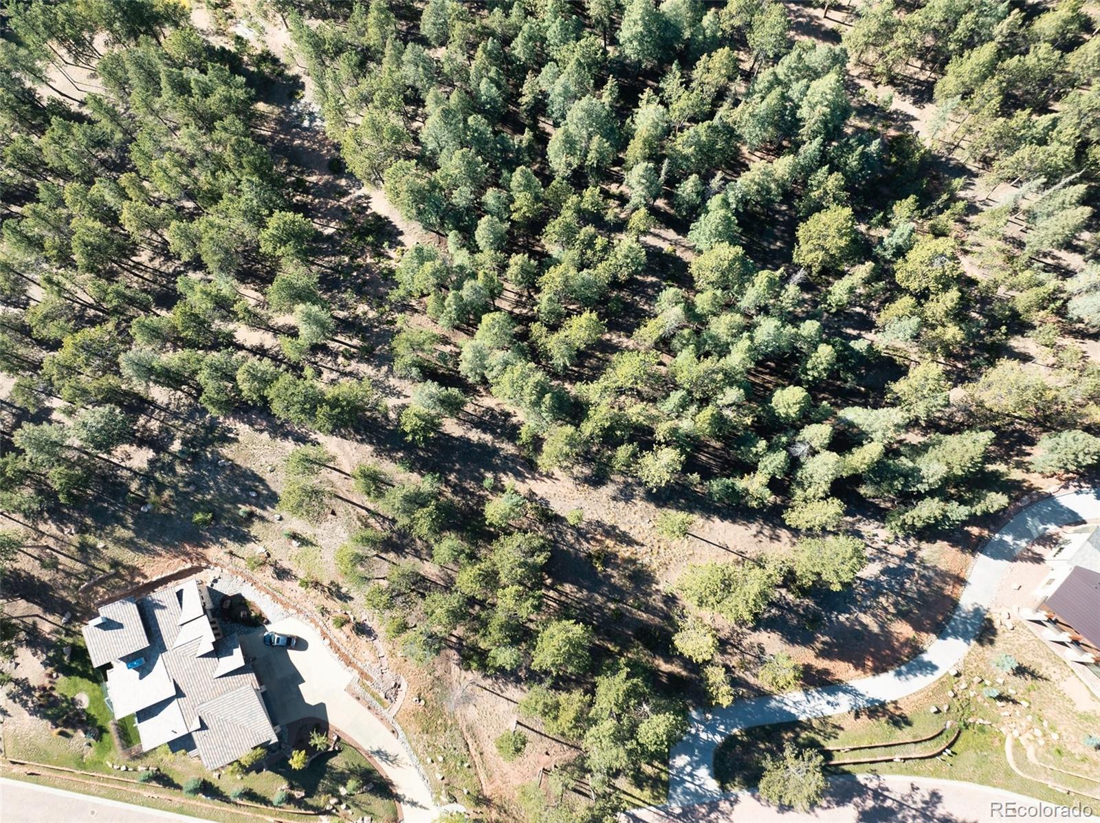 270 Thunder Ridge Drive Woodland Park CO 80863