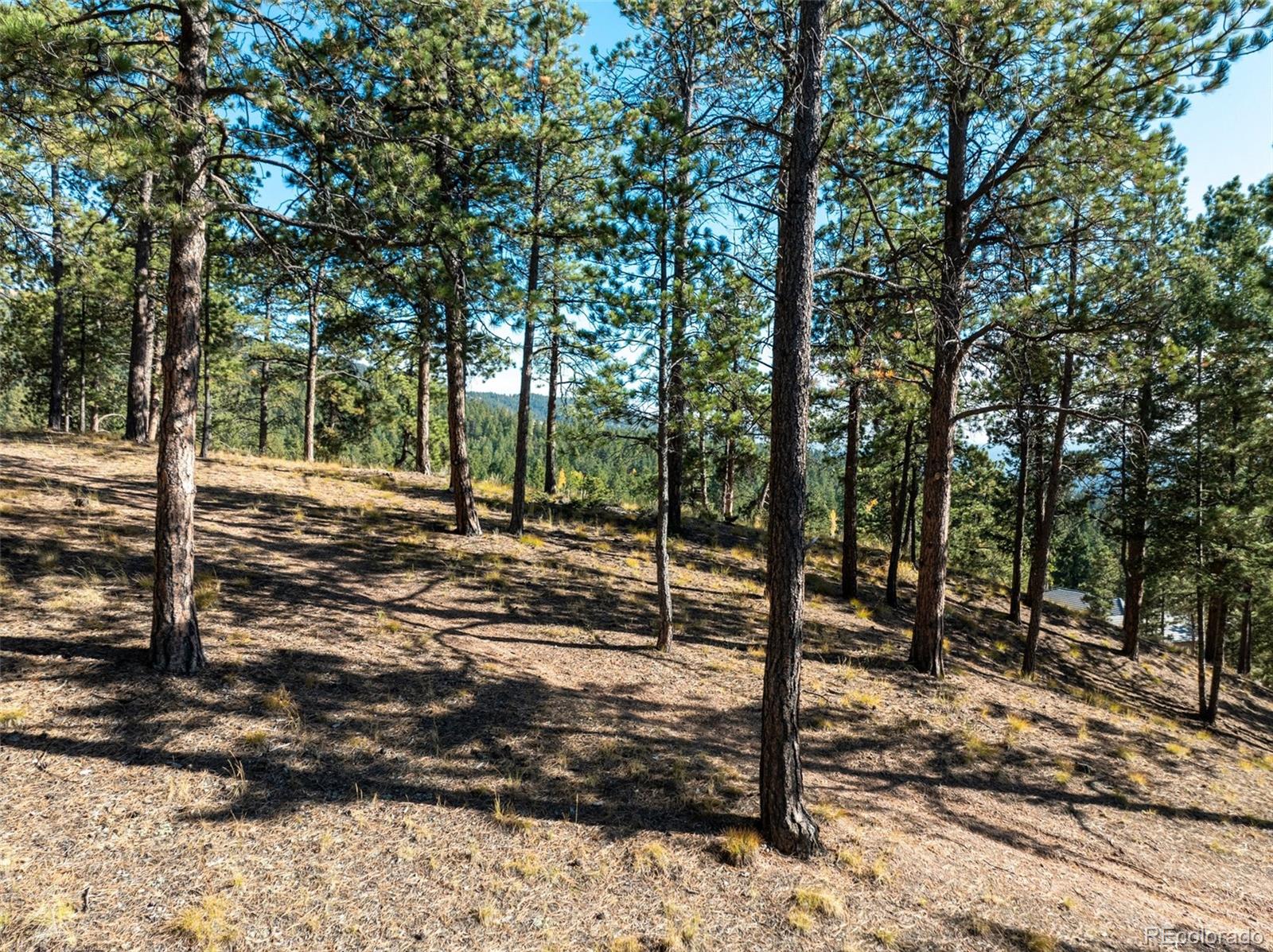 270 Thunder Ridge Drive Woodland Park CO 80863