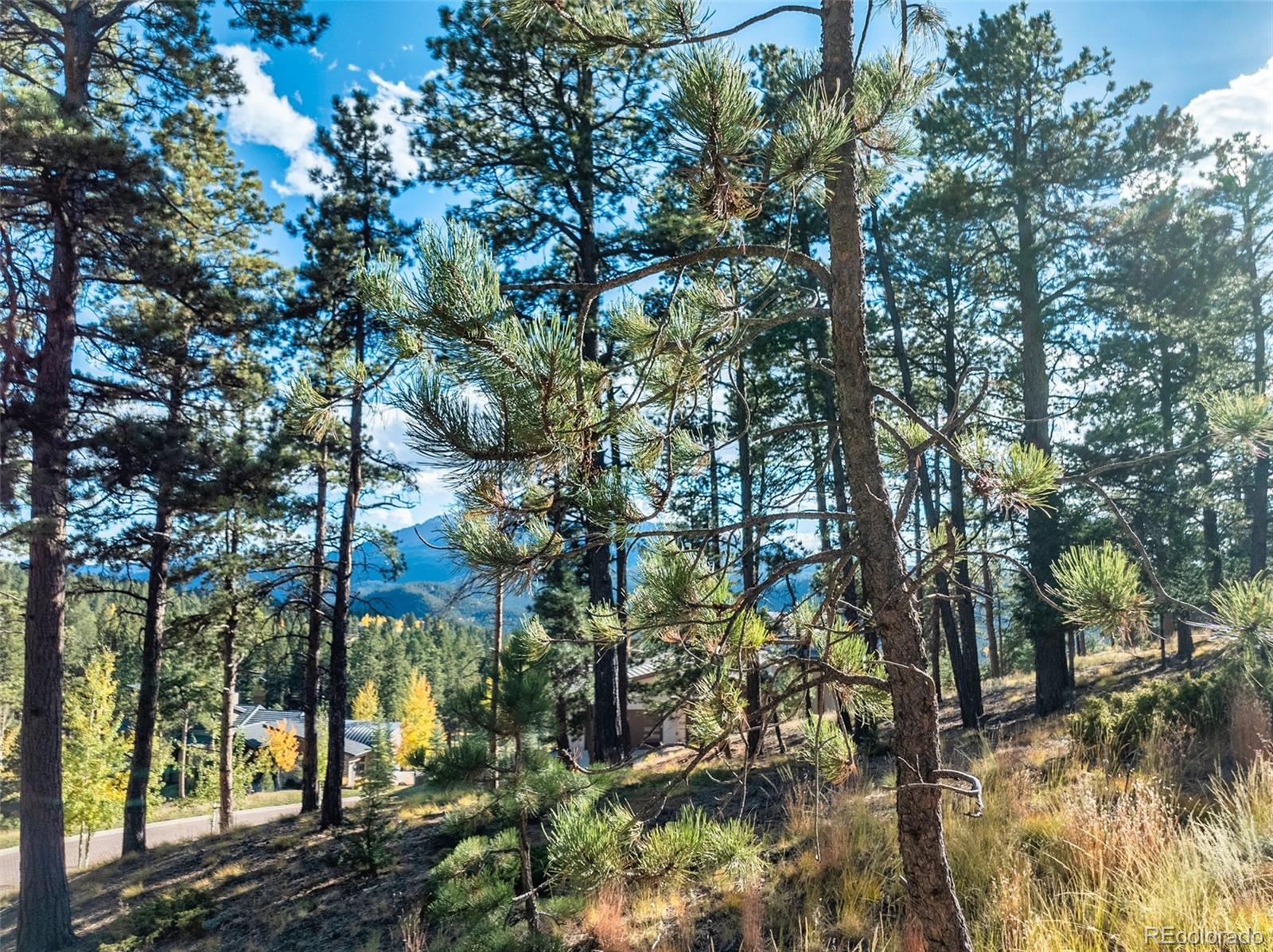 270 Thunder Ridge Drive Woodland Park CO 80863