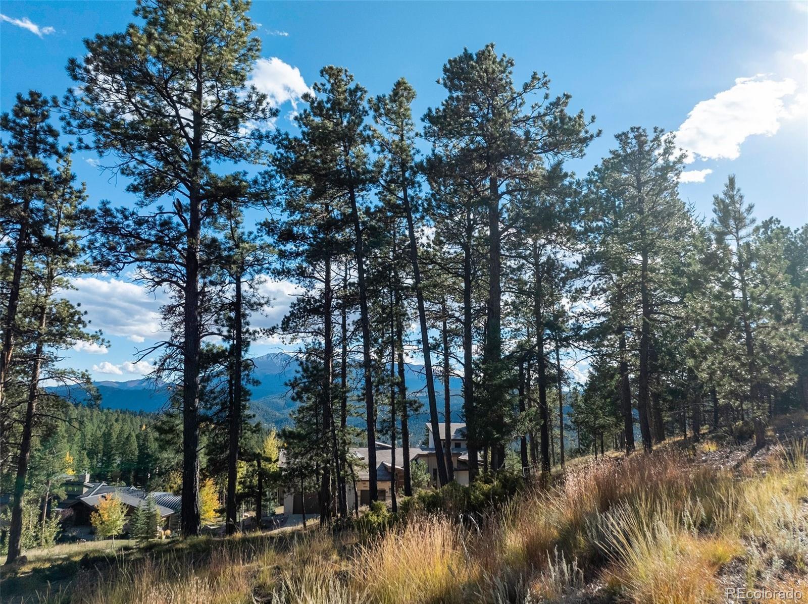 270 Thunder Ridge Drive Woodland Park CO 80863