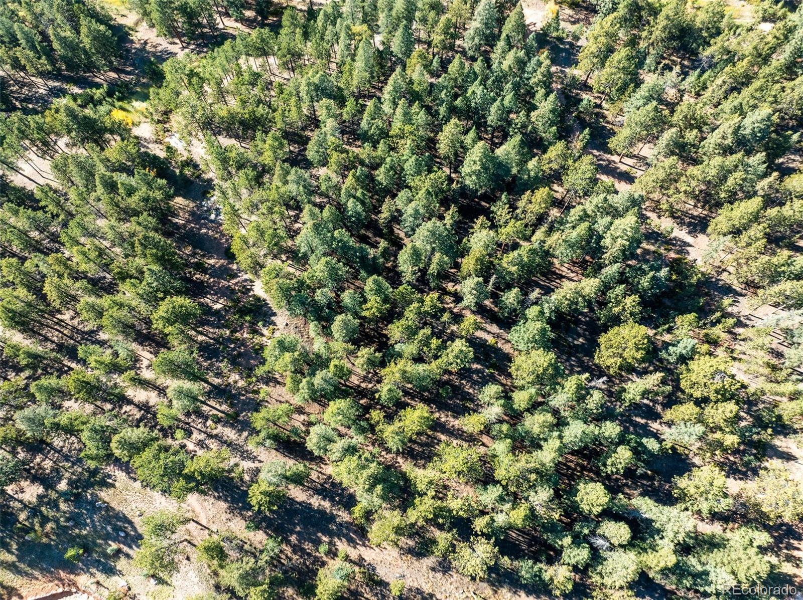 270 Thunder Ridge Drive Woodland Park CO 80863