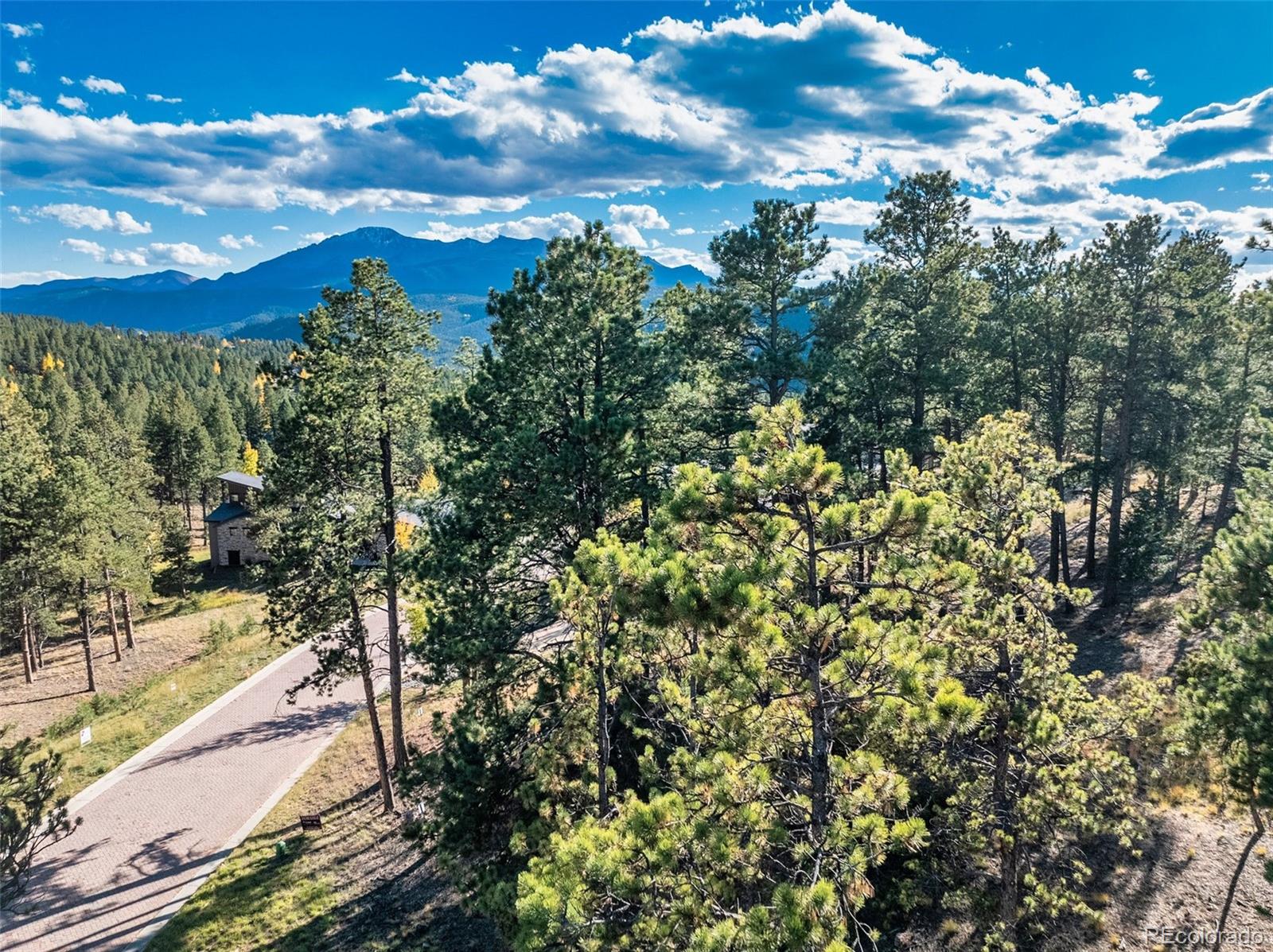 270 Thunder Ridge Drive Woodland Park CO 80863