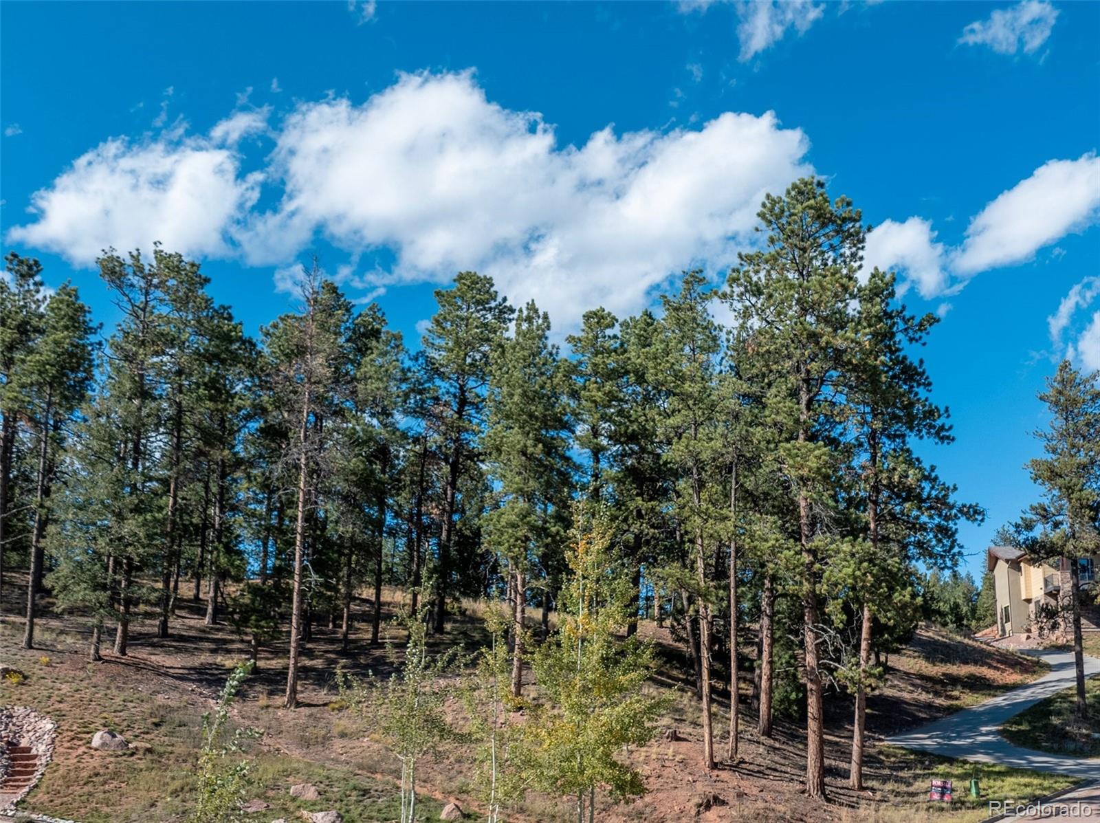 270 Thunder Ridge Drive Woodland Park CO 80863