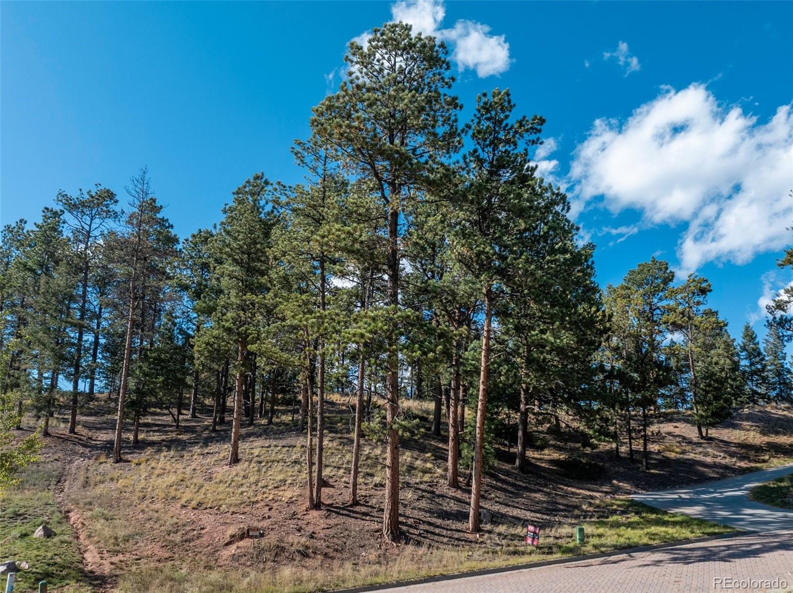 270 Thunder Ridge Drive Woodland Park CO 80863