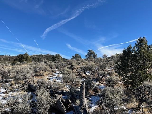 Lot 4554 Clausen Road Fort Garland CO 81133