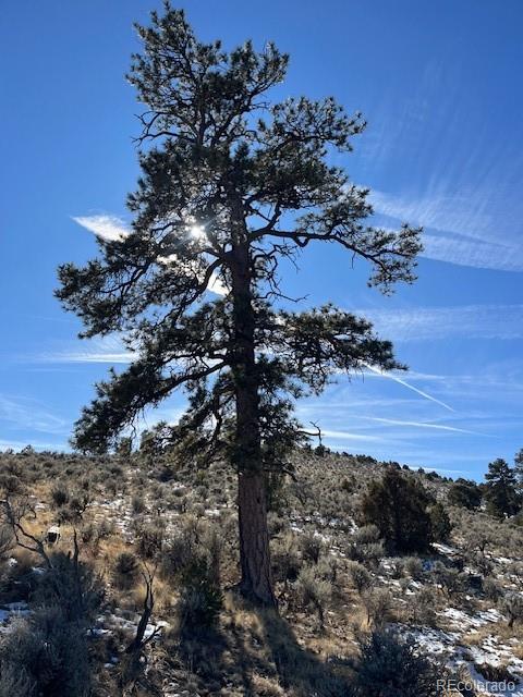 Lot 4554 Clausen Road Fort Garland CO 81133