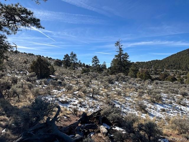 Lot 4554 Clausen Road Fort Garland CO 81133