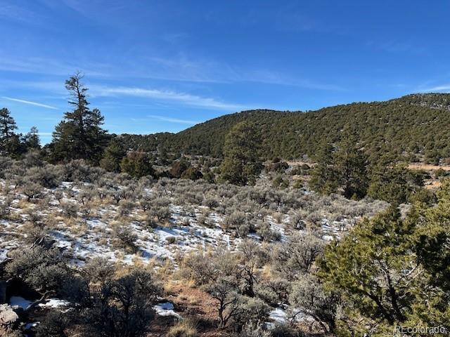 Lot 4554 Clausen Road Fort Garland CO 81133