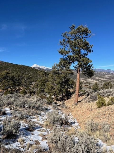 Lot 4554 Clausen Road Fort Garland CO 81133