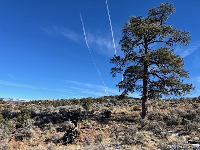 Lot 4554 Clausen Road Fort Garland CO 81133