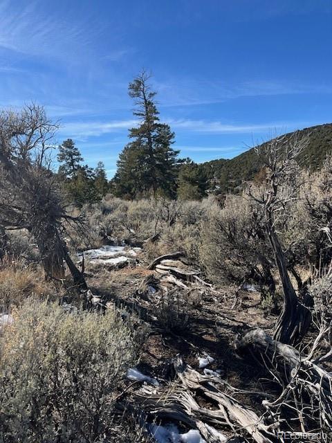 Lot 4554 Clausen Road Fort Garland CO 81133