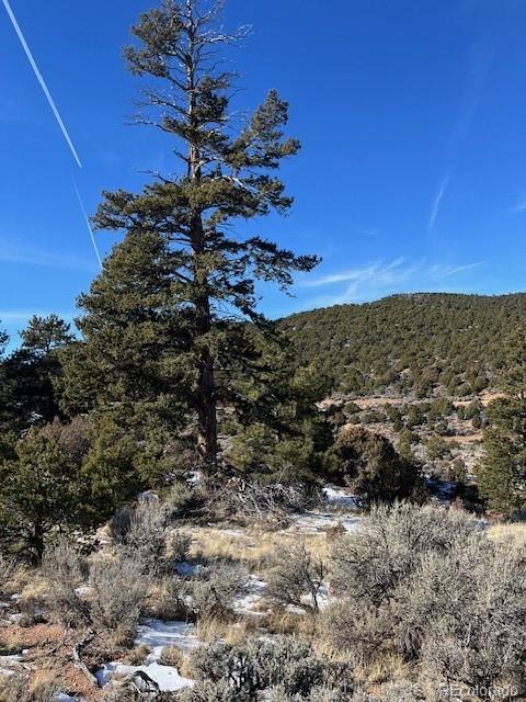Lot 4554 Clausen Road Fort Garland CO 81133