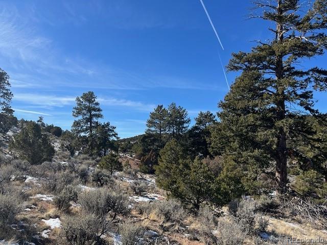 Lot 4554 Clausen Road Fort Garland CO 81133