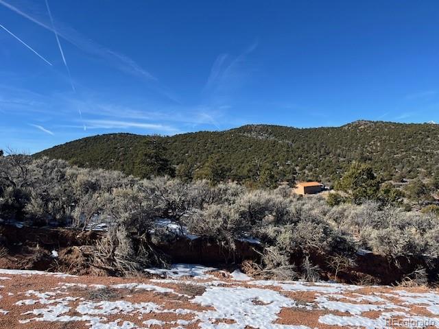 Lot 4554 Clausen Road Fort Garland CO 81133