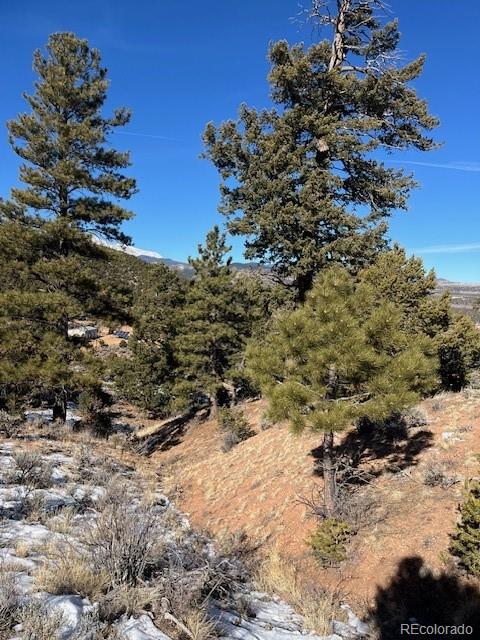 Lot 4554 Clausen Road Fort Garland CO 81133