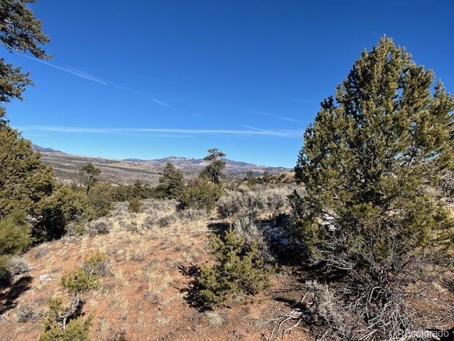 Lot 4554 Clausen Road Fort Garland CO 81133
