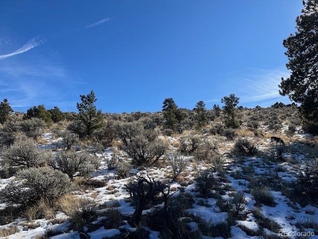 Lot 4554 Clausen Road Fort Garland CO 81133