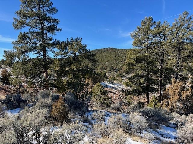 Lot 4554 Clausen Road Fort Garland CO 81133
