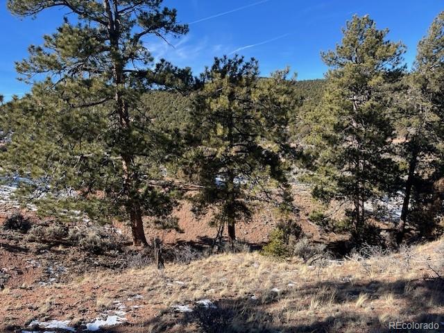 Lot 4554 Clausen Road Fort Garland CO 81133