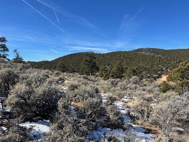 Lot 4554 Clausen Road Fort Garland CO 81133