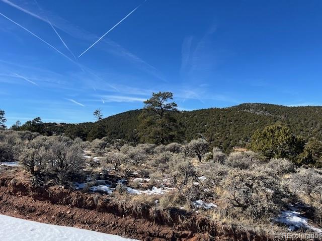 Lot 4554 Clausen Road Fort Garland CO 81133