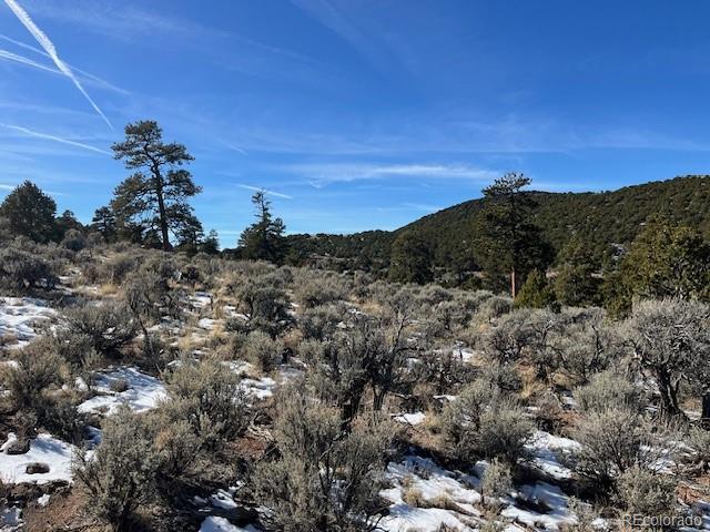 Lot 4554 Clausen Road Fort Garland CO 81133