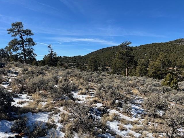 Lot 4554 Clausen Road Fort Garland CO 81133