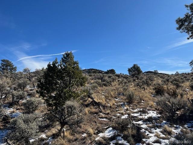Lot 4554 Clausen Road Fort Garland CO 81133
