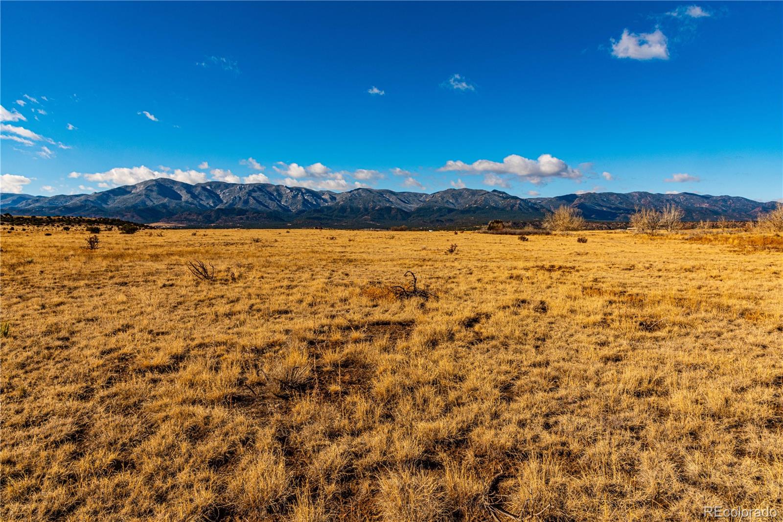 0 County Road 106 Wetmore CO 81253