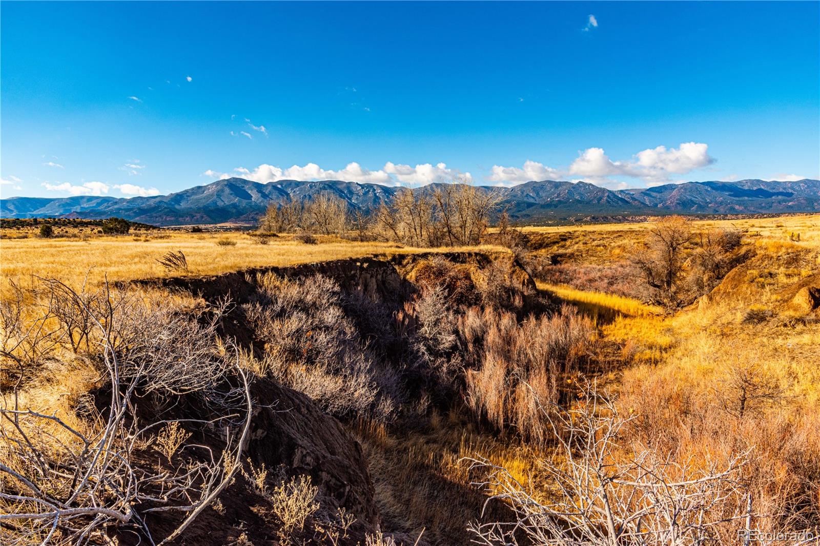 0 County Road 106 Wetmore CO 81253