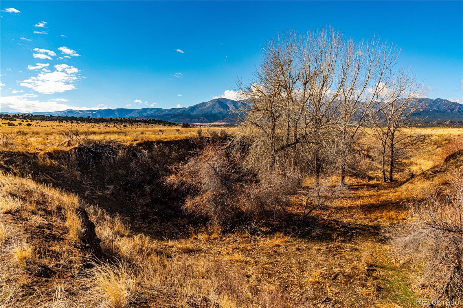 0 County Road 106 Wetmore CO 81253