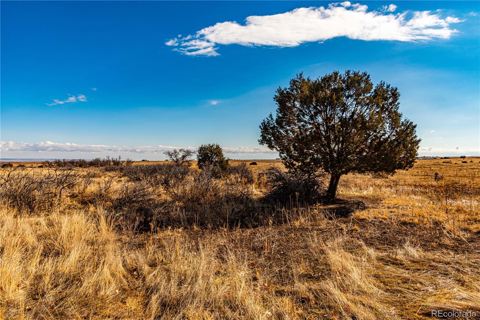 0 County Road 106 Wetmore CO 81253