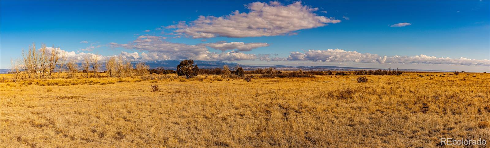 0 County Road 106 Wetmore CO 81253