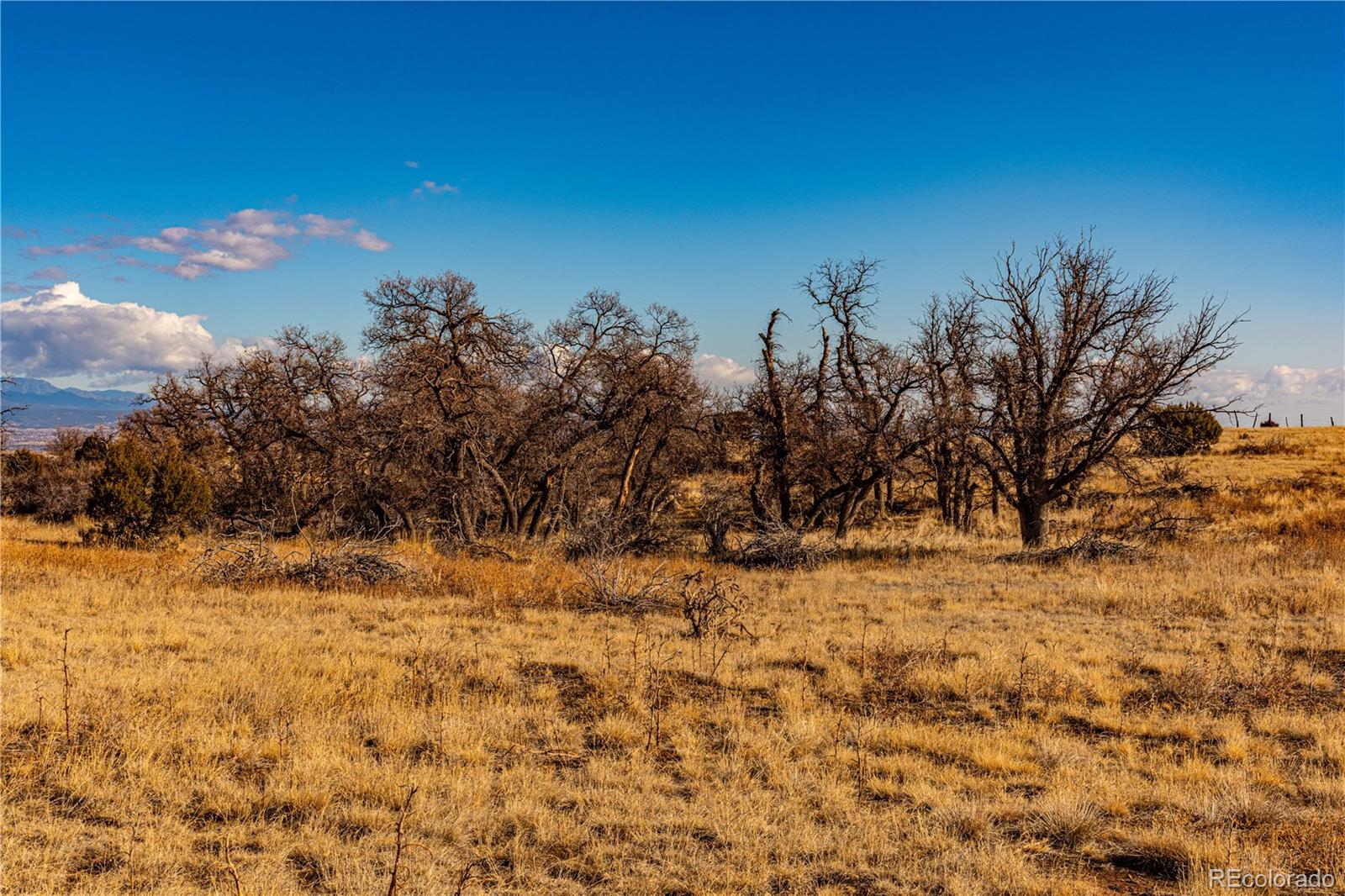 0 County Road 106 Wetmore CO 81253