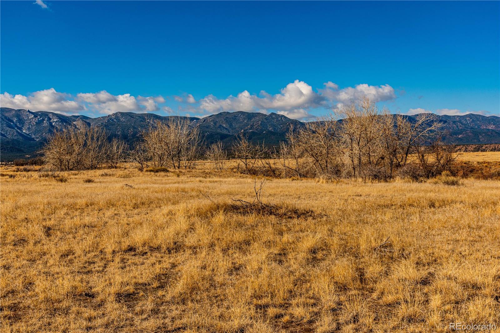 0 County Road 106 Wetmore CO 81253
