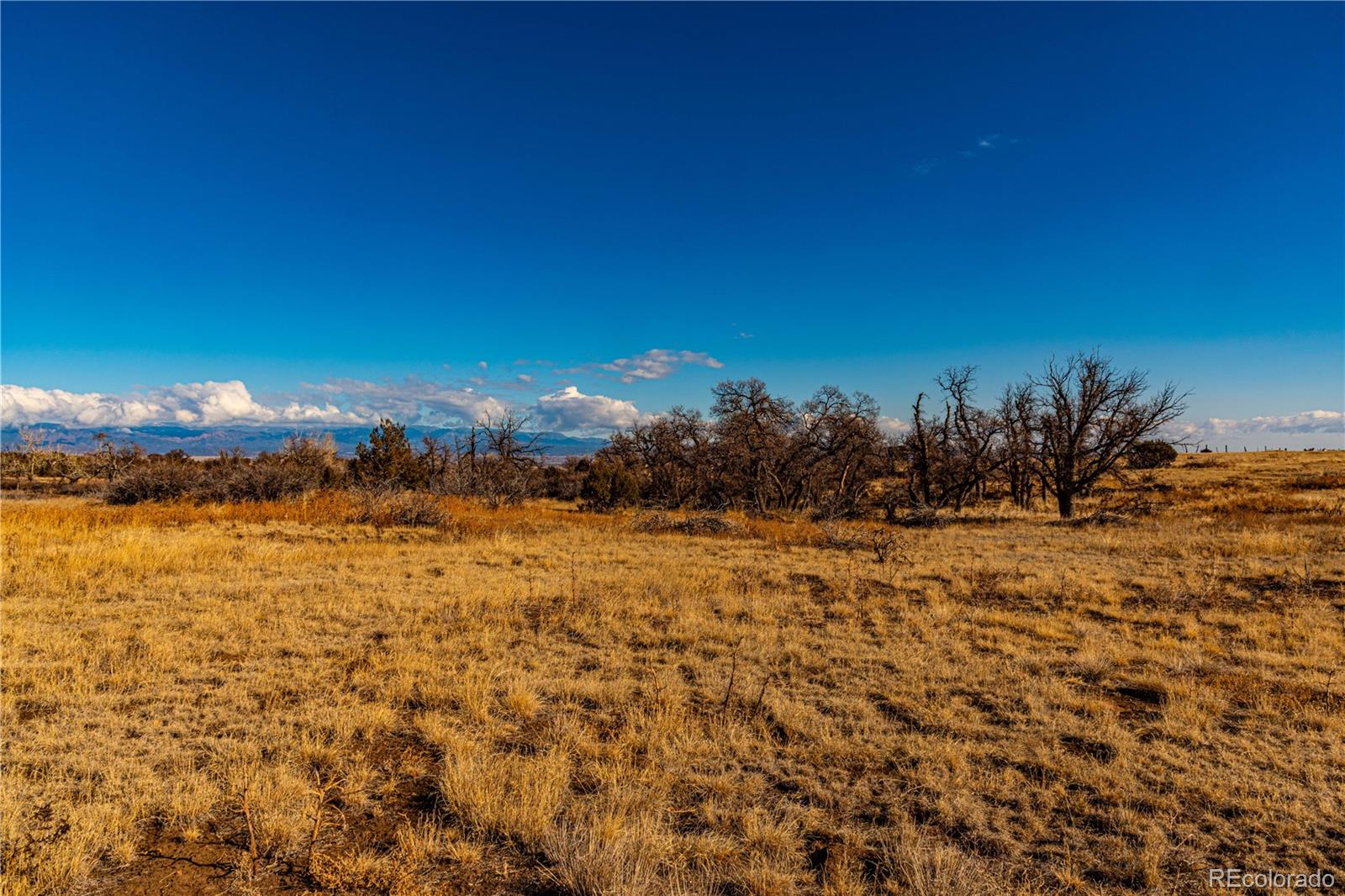 0 County Road 106 Wetmore CO 81253