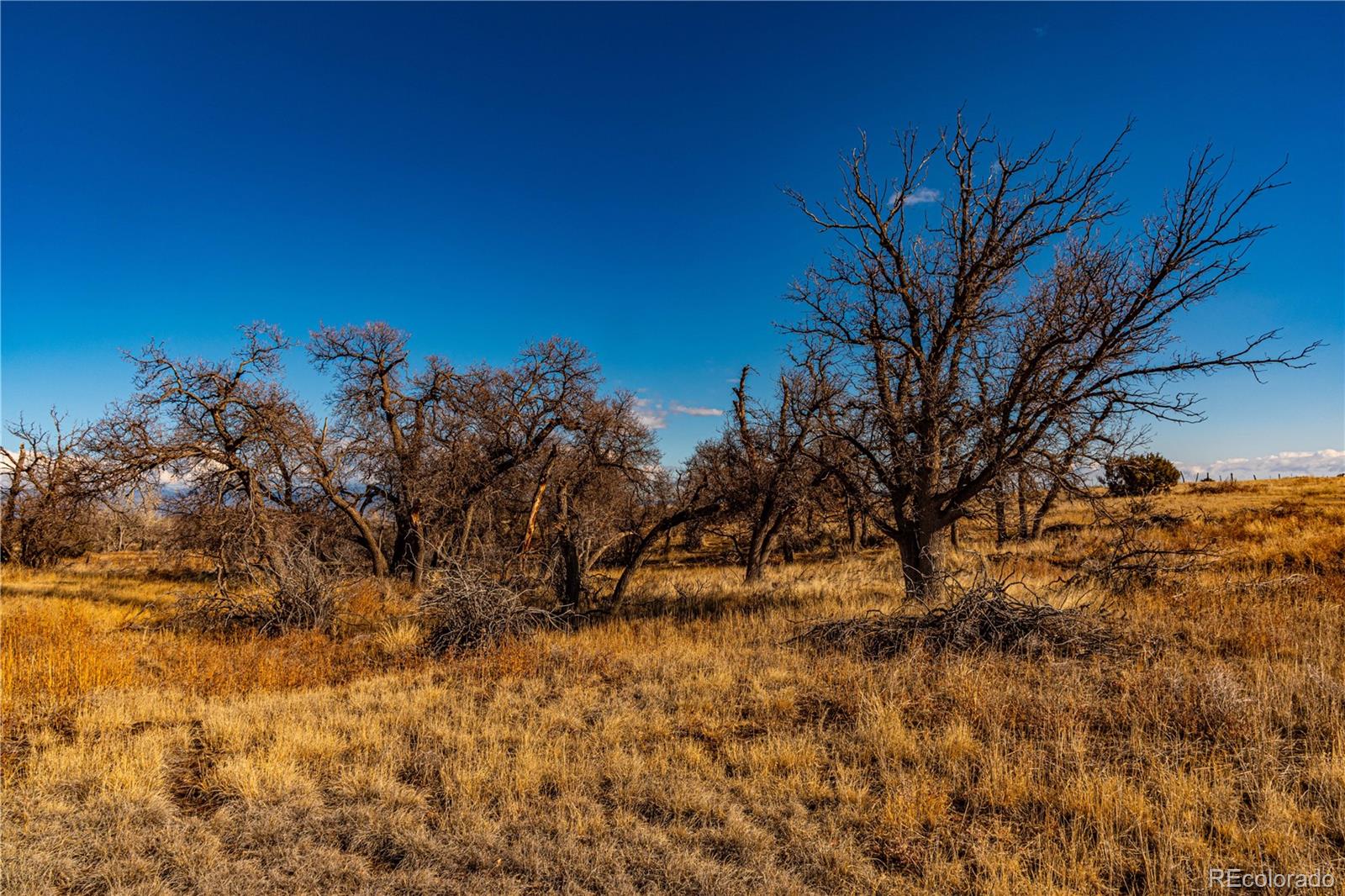 0 County Road 106 Wetmore CO 81253