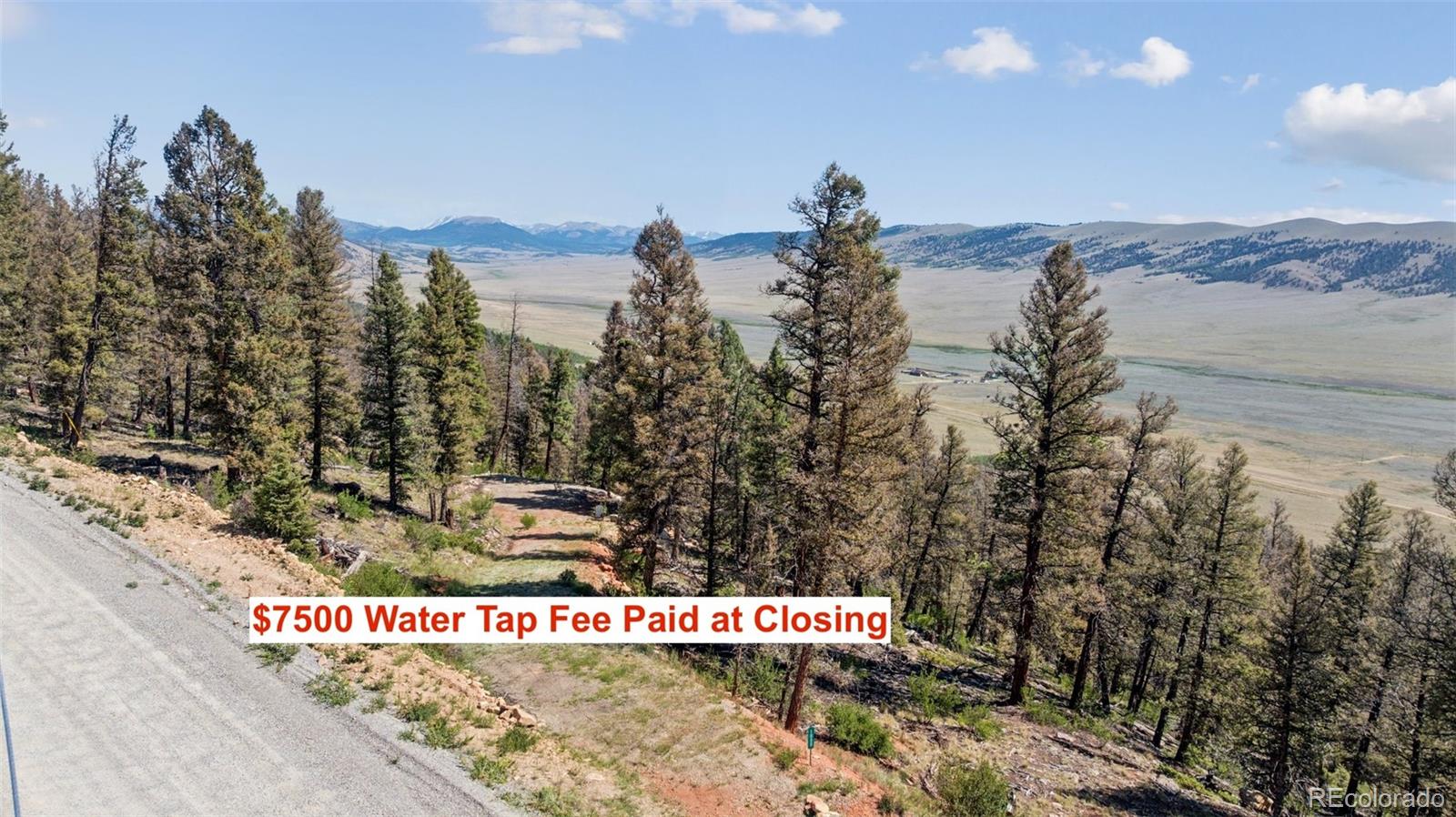 1050 Middle Fork Vista Fairplay CO 80440
